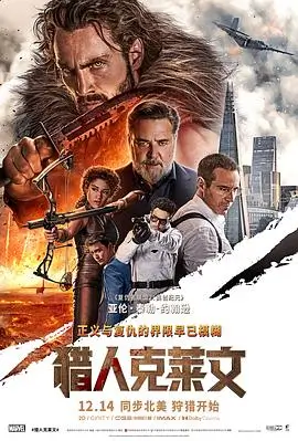 与凤行海报